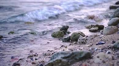 4k实拍海浪拍打岩石沙滩礁石自然风光空镜视频的预览图
